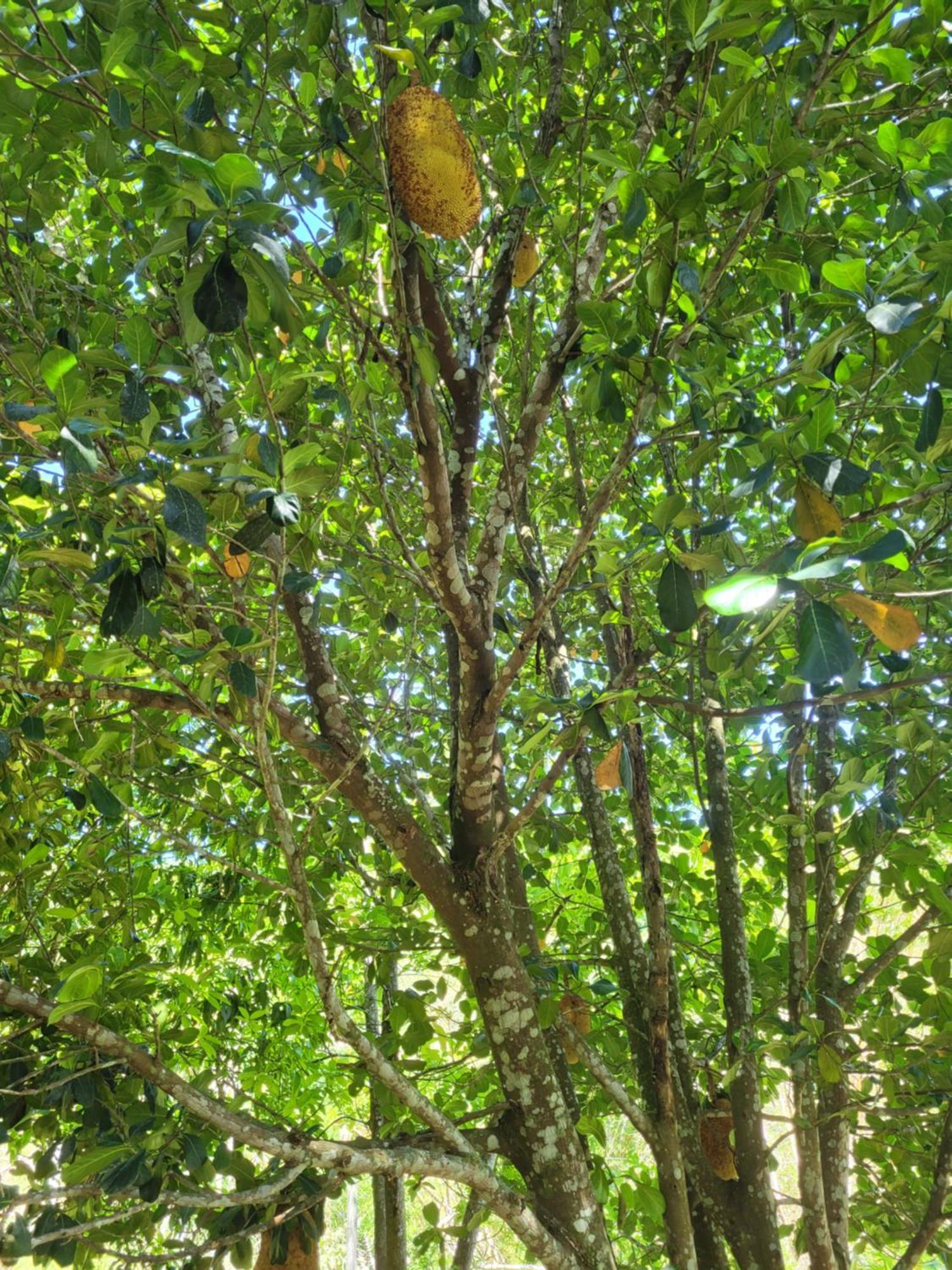 Casa de Férias Casa Aconchegante Em Lugar Lindo E Cheio De Paz *