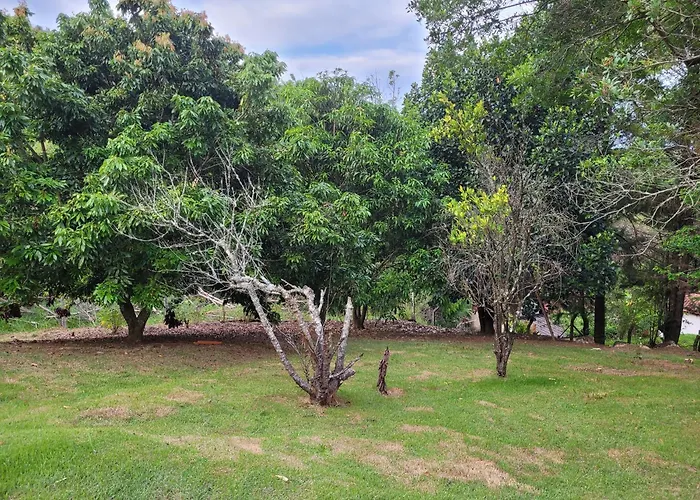 Casa Aconchegante Em Lugar Lindo E Cheio De Paz