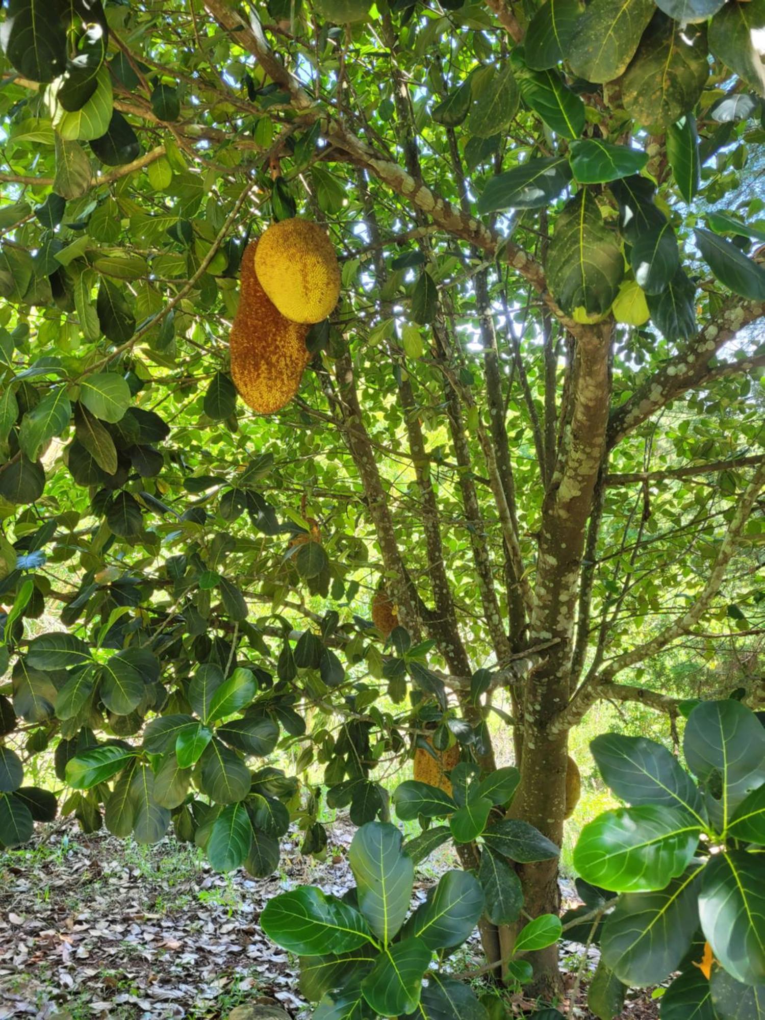 Casa Aconchegante Em Lugar Lindo E Cheio De Paz *